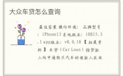 上海大众车贷查询系统（上海大众金融车贷查询付了几个月）
