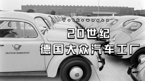 德国大众事件（德国大众案例）