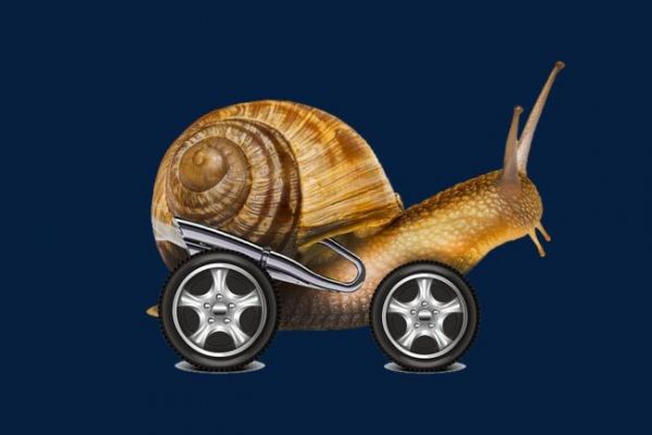 大众蜗牛车（大众蜗牛车图片）-图3