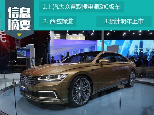 大众辉迈（大众辉道豪华版报价）