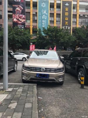 大众天漠金（大众天漠金图片）