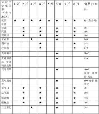 大众甲壳虫保养手册（大众甲壳虫保养归零方法）