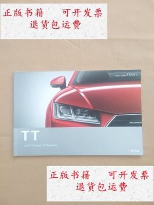大众有tt吗(一汽大众tt什么车型)-图3 大众有tt吗(一汽大众tt什么车型)-图3