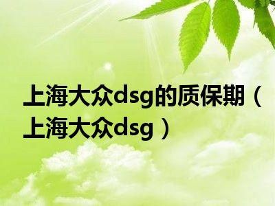 进口大众质保(进口大众质保期多久)-图2 进口大众质保(进口大众质保期多久)-图2