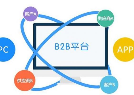 大众b2b（大众B2B平台EDI）-图1
