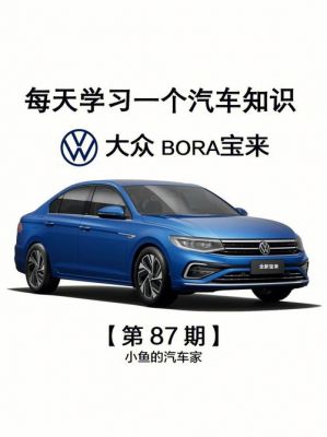 大众pora是什么车（大众bora是什么车）