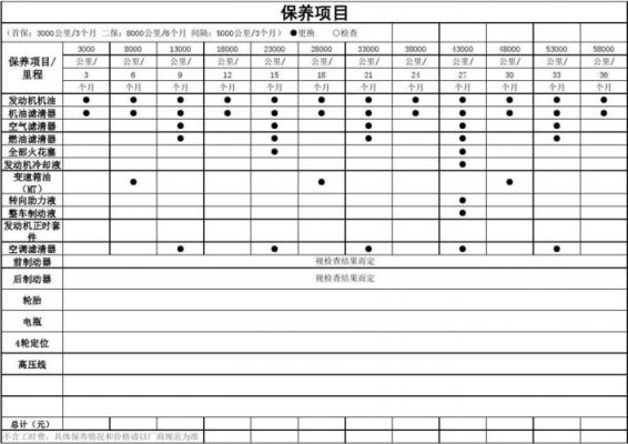上海大众汽车保养手册（上海大众汽车保养周期表）-图3