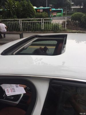 大众朗逸天窗关不上(大众朗逸天窗关不上怎么回事)-图1 大众朗逸天窗关不上(大众朗逸天窗关不上怎么回事)-图1
