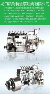 无锡柴油泵498机器（锡柴485柴油泵拆卸视频）-图1
