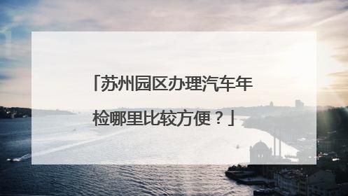 苏州年检需要什么资料（苏州年检需要带什么材料）