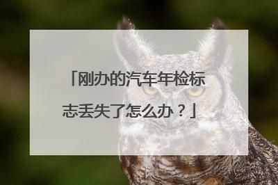 年检标志遗失怎么办（年检标志遗失怎么补办）