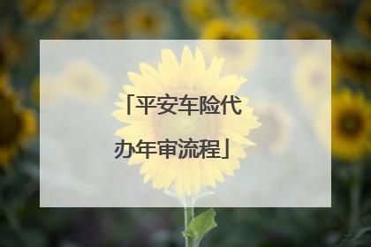 平安车险送年检(平安车险的年检代办是怎么回事)-图3 平安车险送年检(平安车险的年检代办是怎么回事)-图3