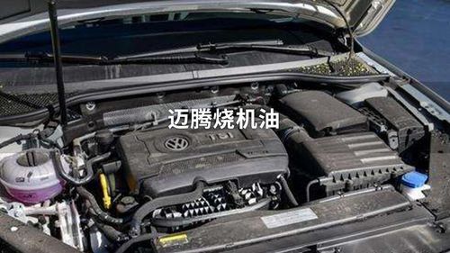 大众迈腾烧机油吗(大众途观烧机油怎么解决)-图2 大众迈腾烧机油吗(大众途观烧机油怎么解决)-图2