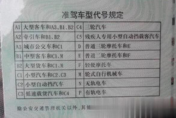 c照驾照需要年检(c照驾照需要年检吗)-图3 c照驾照需要年检(c照驾照需要年检吗)-图3