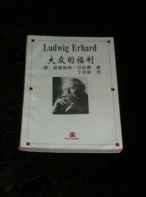 大众的福利(大众福利组织)-图2 大众的福利(大众福利组织)-图2