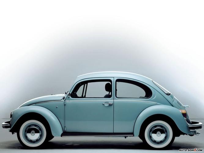 大众甲壳虫beetle(大众甲壳虫beetle报价)-图1 大众甲壳虫beetle(大众甲壳虫beetle报价)-图1