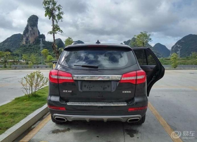 h8柴油提车(柴油版小货车 新车)-图3 h8柴油提车(柴油版小货车 新车)-图3