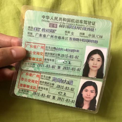 广州驾照年检（广州驾照年检多少钱）