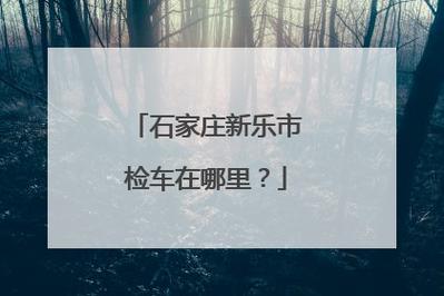 石家庄机动车年检地点（石家庄机动车年检地点电话）