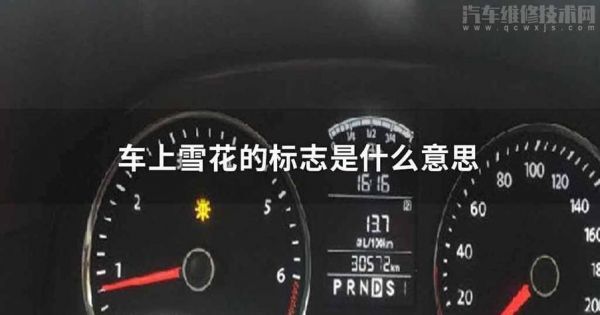 仪表盘出现雪花标志(仪表盘出现雪花标志又自动消失)-图2 仪表盘出现雪花标志(仪表盘出现雪花标志又自动消失)-图2