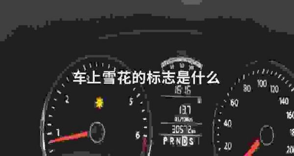 仪表盘出现雪花标志(仪表盘出现雪花标志又自动消失)-图1 仪表盘出现雪花标志(仪表盘出现雪花标志又自动消失)-图1