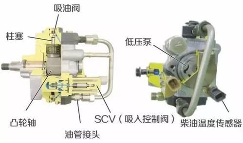 柴油油泵电压多大（柴油泵油量大小调解图）-图1