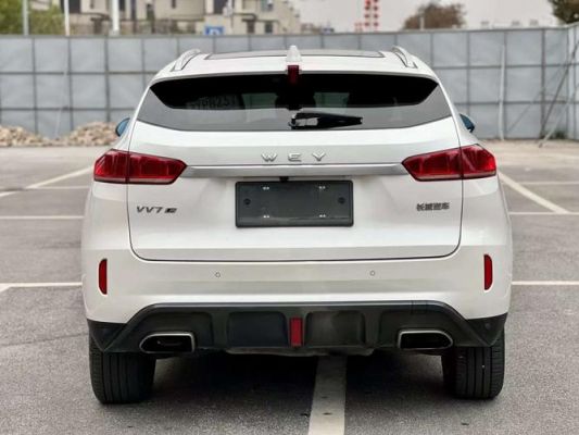 长城自主柴油版suv(长城柴油车型)-图2 长城自主柴油版suv(长城柴油车型)-图2