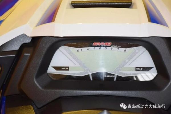 庞巴迪独行侠仪表盘（庞巴迪独行侠丛林版）