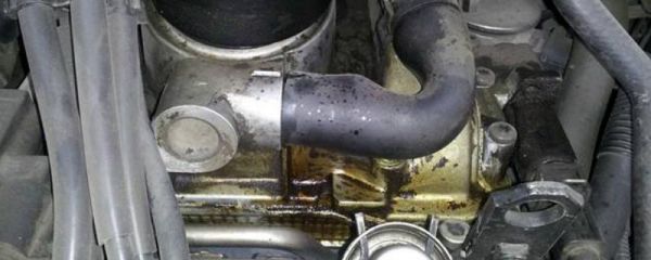 柴油发动机缺水的表现（柴油发动机缺水高温后应该怎么办）