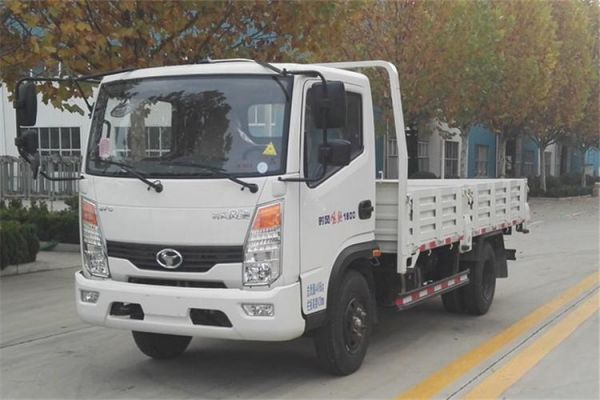 国5柴油时风小货车(时风农用车国五)-图2 国5柴油时风小货车(时风农用车国五)-图2