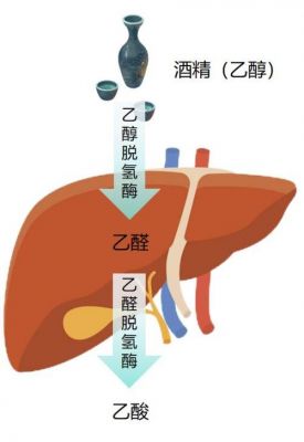 柴油里面可以兑乙醇吗(柴油里面可以兑乙醇吗)-图3 柴油里面可以兑乙醇吗(柴油里面可以兑乙醇吗)-图3