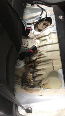 柴油洒在车里怎么去味(柴油撒到车里了怎么能没味)-图1 柴油洒在车里怎么去味(柴油撒到车里了怎么能没味)-图1