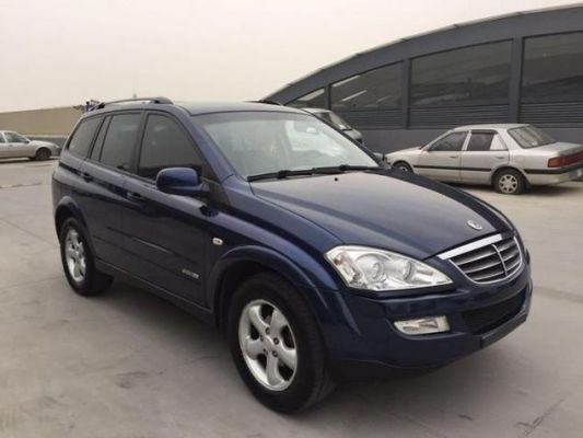 最新进口柴油双龙suv(柴油版双龙suv越野)-图1 最新进口柴油双龙suv(柴油版双龙suv越野)-图1